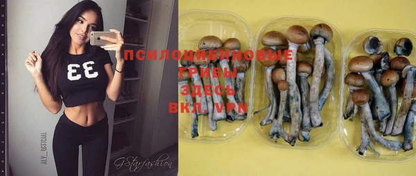 Альфа ПВП Кодинск