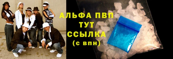 молекула духа Козловка